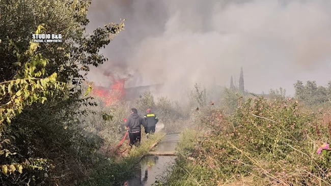 ΦΩΤΙΑ ΔΡΕΠΑΝΟ