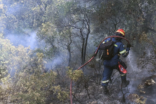Φωτιά στα Γεράνεια Όρη: Διάσπαρτες εστίες στα καμμένα - Κυβερνητικό κλιμάκιο στο Αλεποχώρι το πρωί της Κυρακής