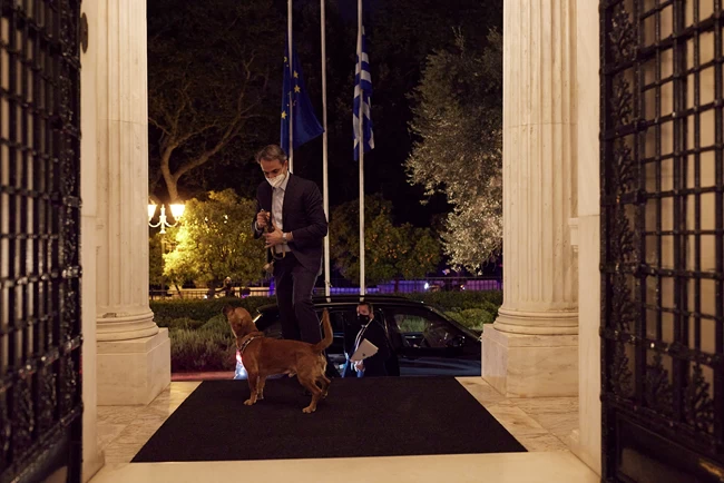 Σκύλος Μαξίμου