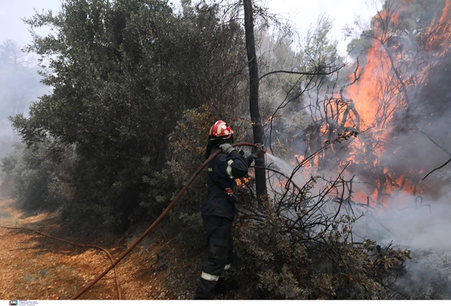 Φωτιά στο σχίνο