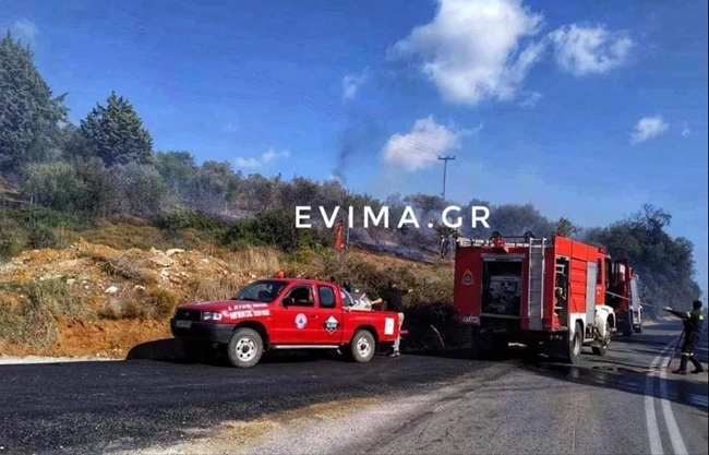 Φωτιά στο Βέλος Ευβοίας: Συναγερμός στην Πυροσβεστική καθώς απειλεί κατοικημένη περιοχή