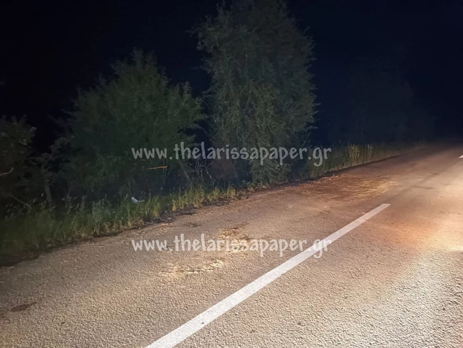 Ελασσόνα- μωρό - τροχαίο