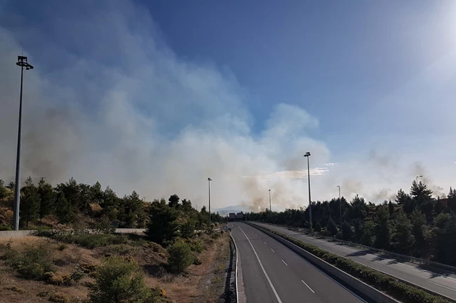 φωτια μαρτινο