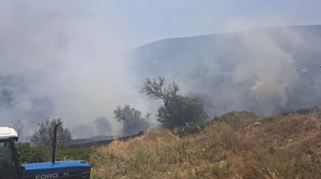 ΦΩΤΙΑ ΣΑΜΟΣ