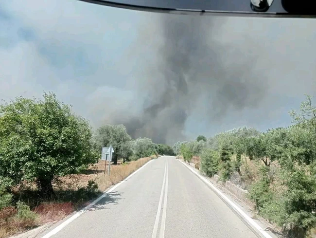 ΦΩΤΙΑ ΡΟΔΟΣ