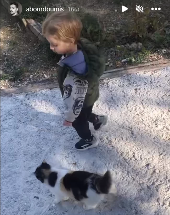 αναστασης