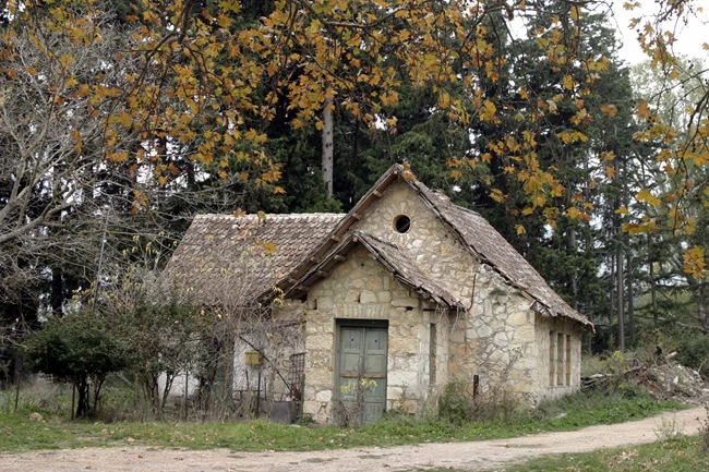 Τατόι