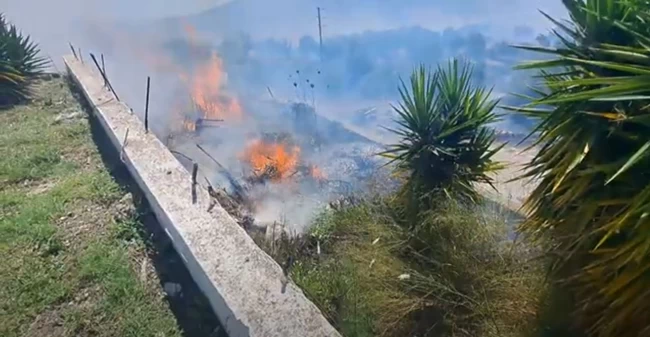 ΦΩΤΙΑ ΣΑΜΟΣ