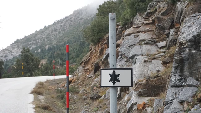 ΚΛΟΠΗ ΠΙΝΑΚΙΔΑ ΛΑΡΙΣΑ