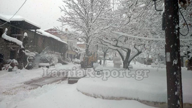 χιόνι καμένα βούρλα