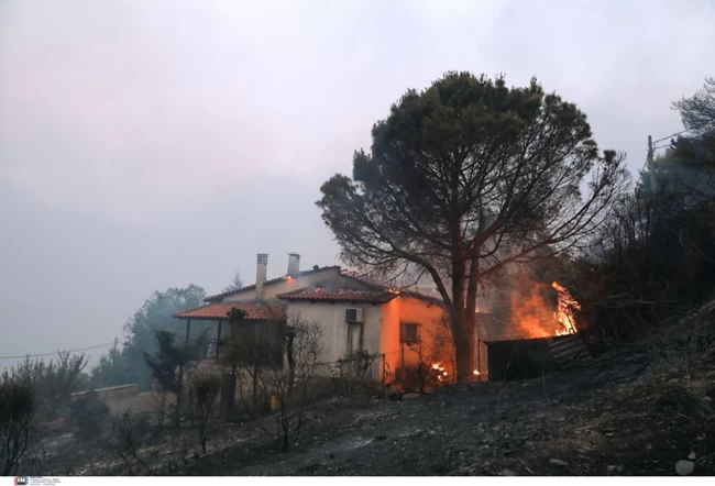 τατοι