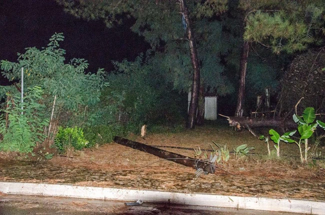 ΗΛΕΙΑ ΙΑΝΟΣ