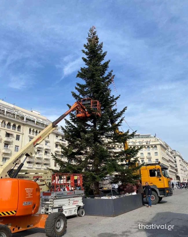 δέντρο Θεσσαλονίκη