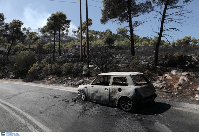 ΦΩΤΙΑ ΣΤΗ ΝΕΑ ΜΑΚΡΗ
