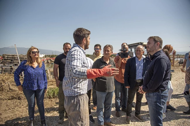 Ανδρουλακης