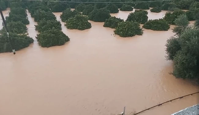 ΛΑΚΩΝΙΑ ΠΛΗΜΜΥΡΑ