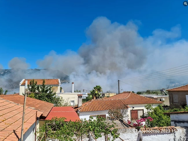 φωτια ασπροπουλια καλαματα