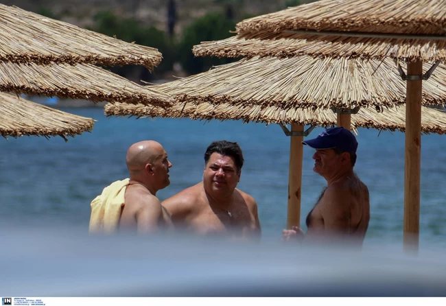 ΤΣΟΥΝΗΣ ΠΡΕΣΒΗΣ ΝΑΥΠΛΙΟ