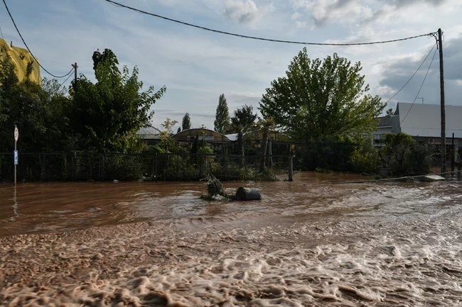 Φρίκη στην Καρδίτσα: Βγήκαν σοροί στους δρόμους από τα σπασμένα μνήματα [Βίντεο}