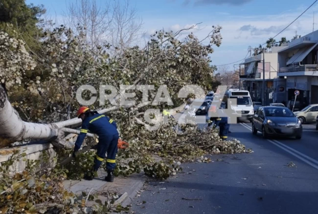 ΔΕΝΤΡΟ ΚΡΗΤΗ ΚΑΚΟΚΑΙΡΙΑ