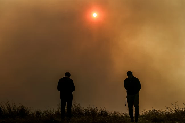 Φωτιά στο Σχίνο: Εγκληματική αδιαφορία - Αγρότες έκαψαν ξερόκλαδα και χάθηκαν 20.000 στρέμματα δάσους