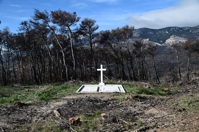 Τατόι