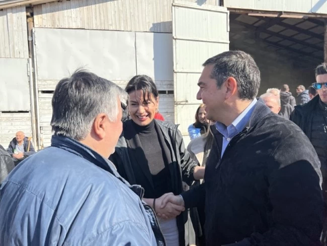 ΤΣΙΠΡΑΣ ΤΡΙΚΑΛΑ