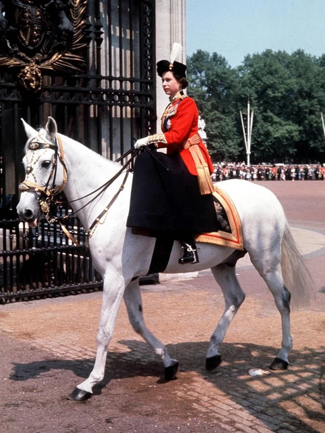 QUEEN ELIZABETH