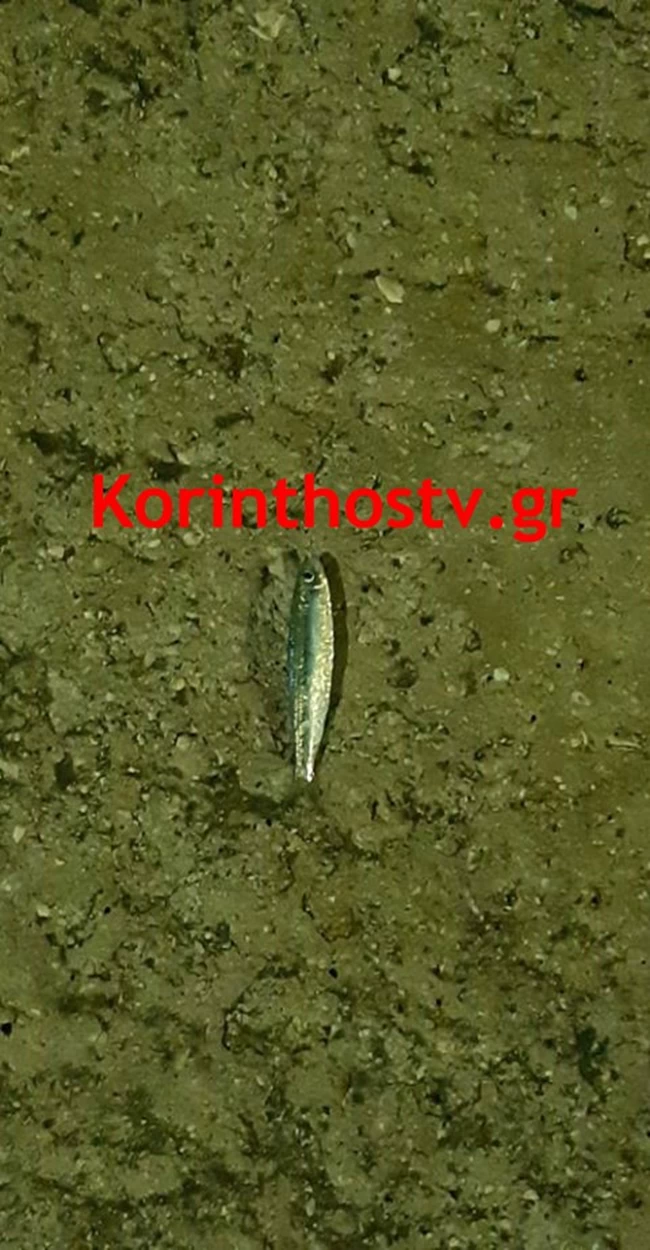 Κόρινθος
