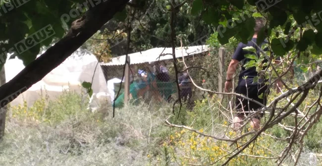 αεροσκάφος Ηλεία