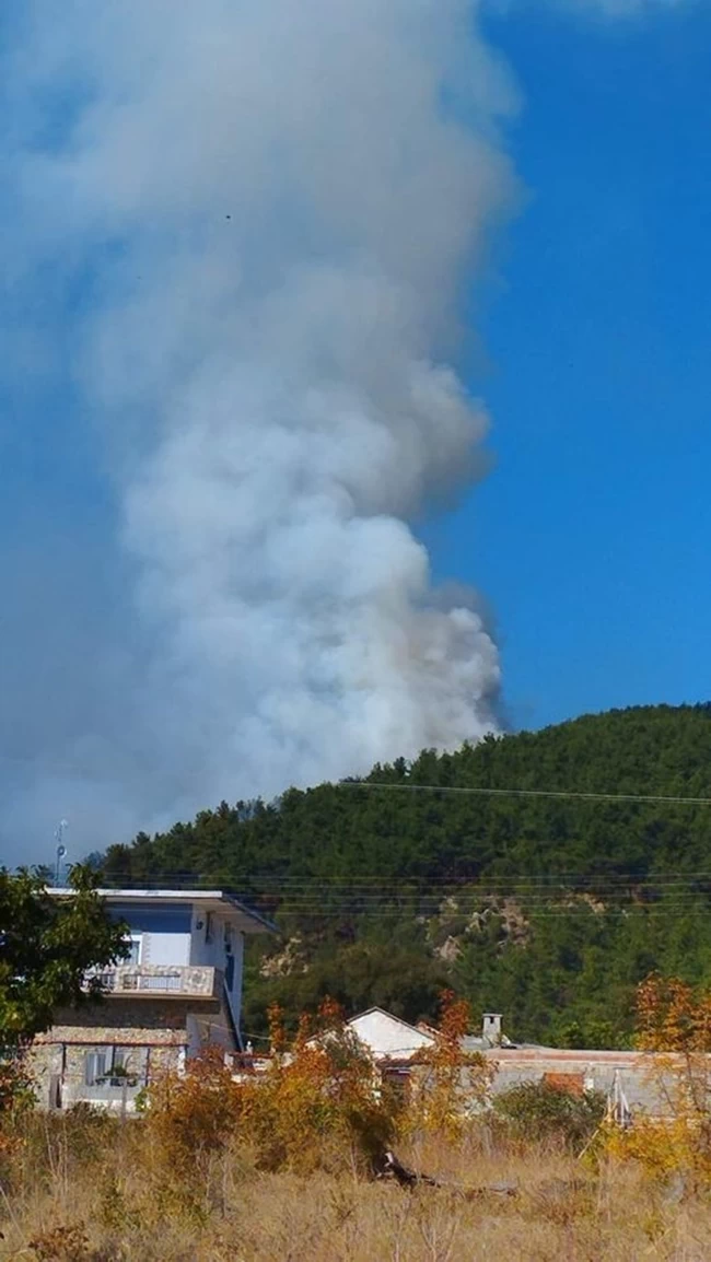 ΦΩΤΙΑ ΡΟΔΟΠΗ