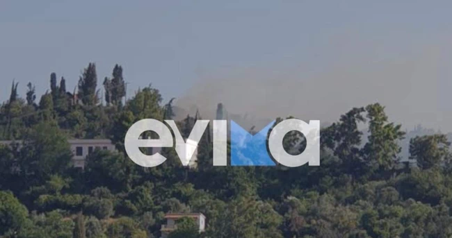 ευβοια φωτια κυμη