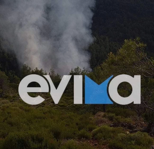 Φωτιά στην Εύβοια