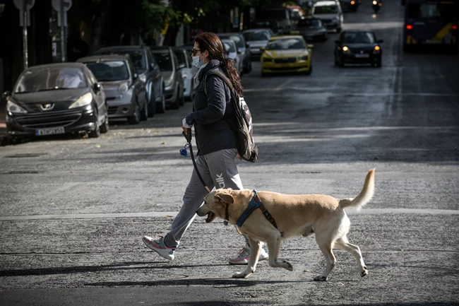 Μετακινηση κατοικιδιο