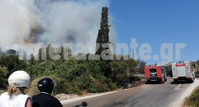ΦΩΤΙΑ ΖΑΚΥΝΘΟΣ