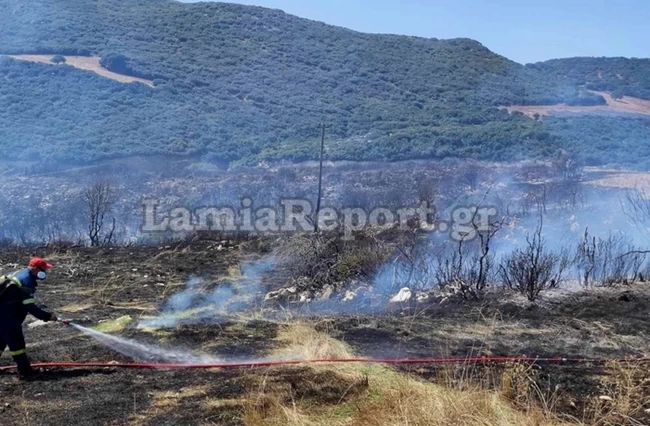 Φωτιά Φθιώτιδα