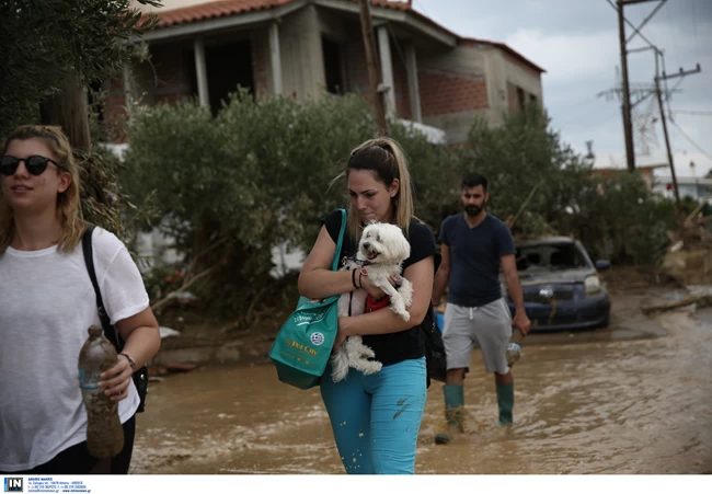 Εύβοια Πλημμύρες