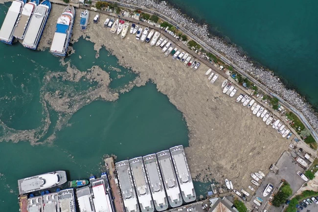 "Βλέννα" πάχους 15 μέτρων απειλεί το Αιγαίο: Συναγερμός στη θάλασσα του Μαρμαρά [εικόνες - βίντεο]