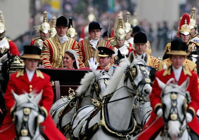 QUEEN HORSES