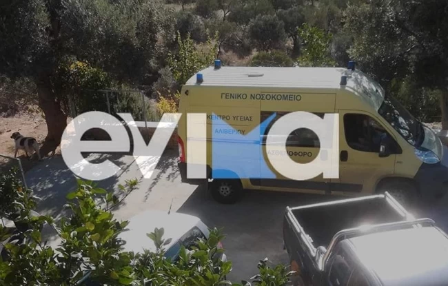 ΕΥΒΟΙΑ ΝΕΚΡΟΣ ΔΕΞΑΜΕΝΗ