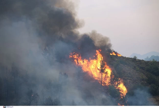 καιγονται δέντρα στις Αφίδνες