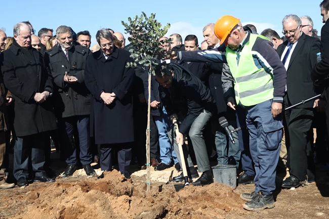 Μάτι