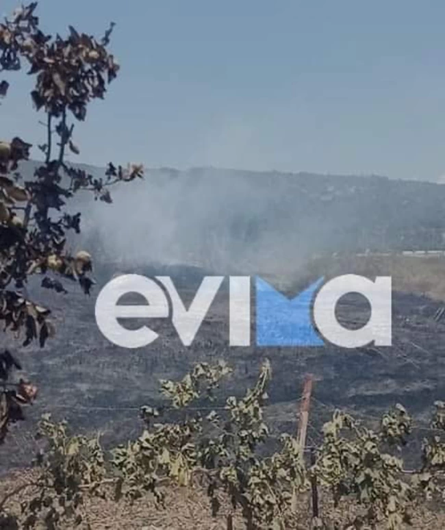 Φωτιά Εύβοια