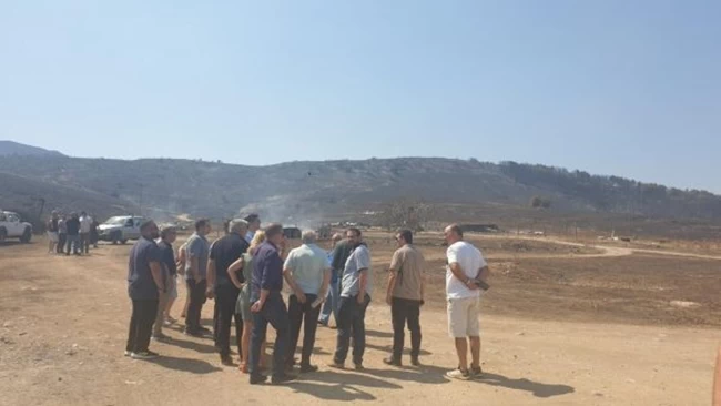 ΠΑΣΟΚ ΦΩΤΙΑ ΜΑΓΝΗΣΙΑ