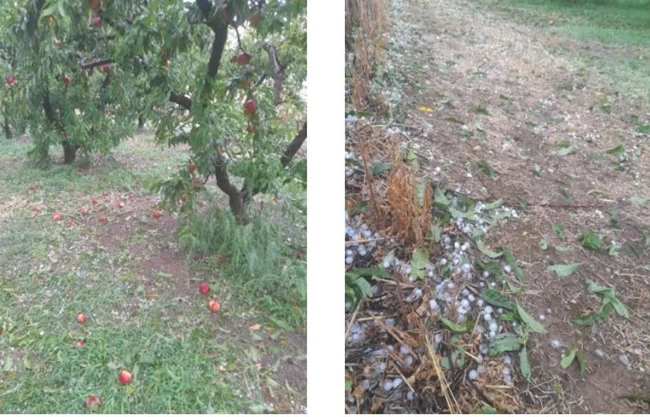 ΧΑΛΑΖΙ ΣΕΡΡΕΣ