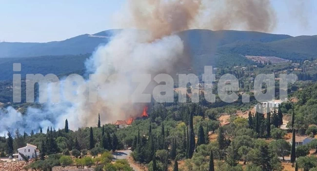 ΦΩΤΙΑ ΖΑΚΥΝΘΟΣ