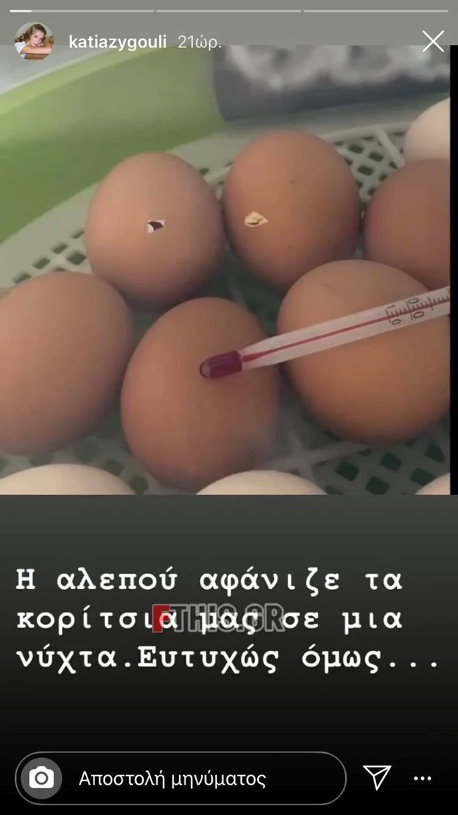 Τα... είδε όλα ο Σάκης Ρουβάς: Αλεπού μπήκε στο κοτέτσι και έφαγε όλες τις κότες του