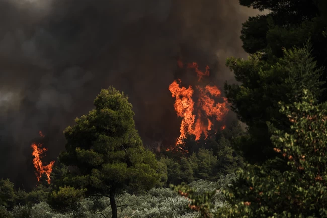 Φωτιά στην Εύβοια