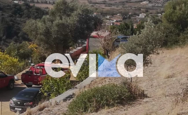 ΕΥΒΟΙΑ ΝΕΚΡΟΣ ΔΕΞΑΜΕΝΗ