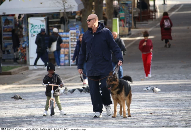 Τζώνη Καλημέρης